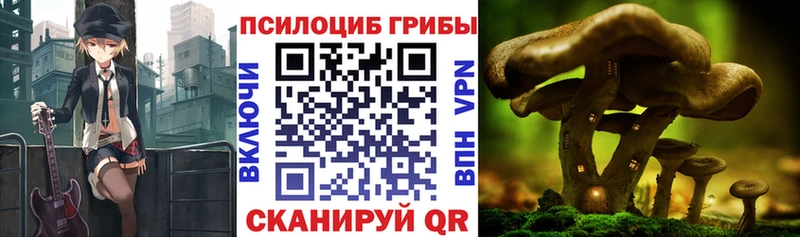 Галлюциногенные грибы мицелий  хочу наркоту  Стародуб 