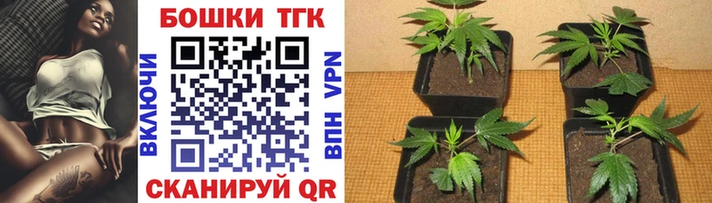 Конопля Bruce Banner  купить наркотик  Стародуб 